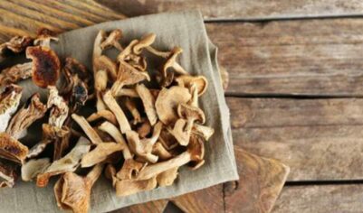 Яркий вкус осеннего леса: рецепты с сушеными грибами