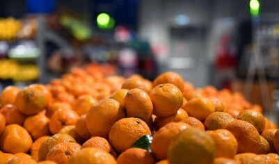 АКОРТ: мандарины в России за год подешевели на 25%