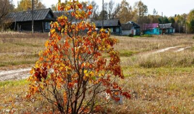 Что можно, а что нельзя делать 7 ноября на Дедовские плачи