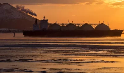 В Турции прокомментировали отказ от российского газа