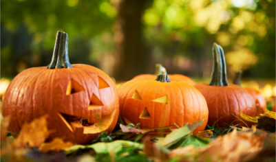 31 октября — какой сегодня праздник? Что отмечают в этот день в России и мире