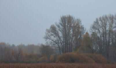 Что можно, а что нельзя делать 14 ноября на Кузьминки осенние