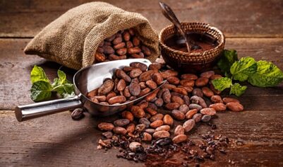 Стало известно о резком падении цен на какао