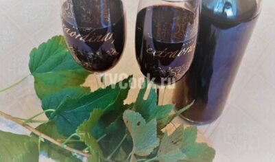 Вино из чёрной смородины вкусный рецепт с фото пошагово и видео