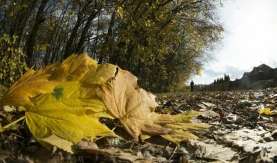Что можно и что нельзя делать 9 ноября: главные запреты Обетного дня