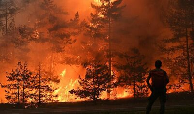 В Геленджике горит лес на площади 2 га