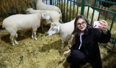 Россиянам объяснили, что 11 ноября на Анастасию Овечницу нельзя ходить с пустыми карманами