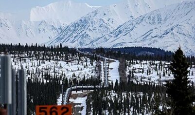 Сенат США проголосовал за отмену запрета добывать нефть и газ на Аляске