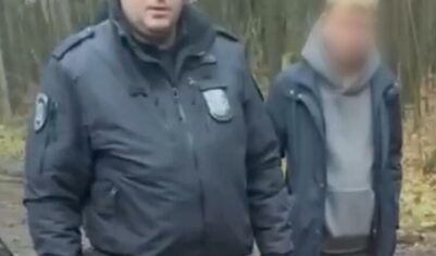 «Будет моей игрушкой»: еще одной из подруг «богородского маньяка» удалось сбежать