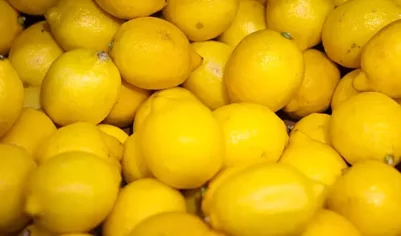 Абхазия увеличила экспорт лимонов в Россию более чем вдвое
