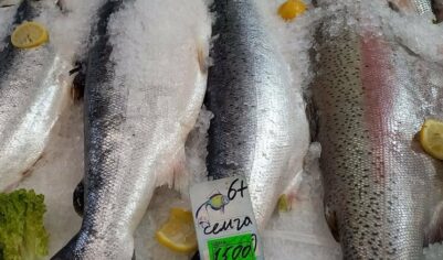 Что не так с рыбными четвергами: почему цены на лосось и минтай не снизятся