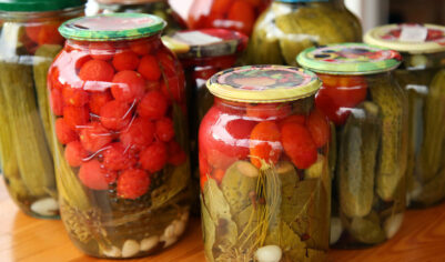 Выяснились подробности отравления мигрантов из Новой Москвы домашними соленьями