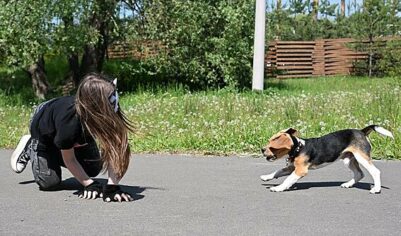 В РПЦ сообщили о работе над запретом пропаганды субкультуры квадроберов