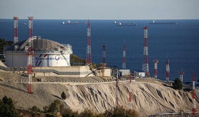 Страна НАТО захотела добиться исключения для импорта нефти и газа из России