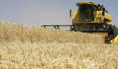 Десятки стран перестали покупать российскую пшеницу