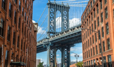 Рая из Бруклина