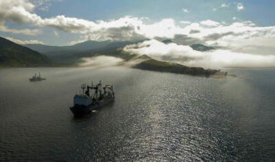 «Иностранные территории». В Японии разгорелся скандал из-за слов министра о Курилах