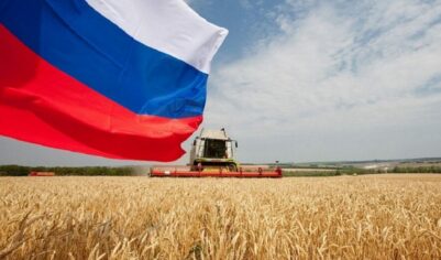 «Хочет «отвязаться» от России»: Армению обвинили в попытке помочь Украине через закупки зерна