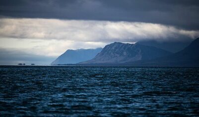 Финансовые перспективы Арктики оценили в&nbsp;$100 миллиардов в&nbsp;год