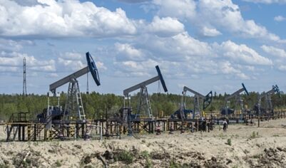 В России за год открыли 36 месторождений углеводородов