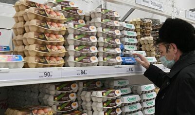 Минсельхоз сообщил о снижении цен и избытке яиц на внутреннем рынке