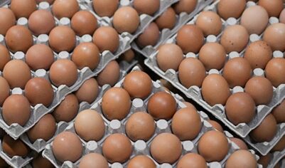 ФАС выдала предостережение из-за публичного заявления о росте цен на яйца