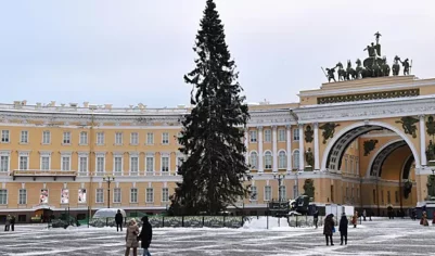 В Петербурге зажгли главную городскую новогоднюю елку на Дворцовой площади