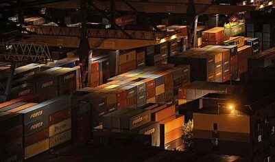 Путин оценил перспективы российско-индийской торговли