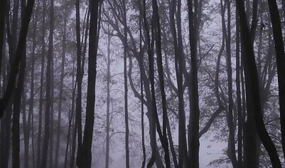 Этнограф Гаммадова объяснила смысл песни из последнего видео Усольцевой