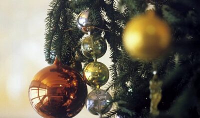 Life.ru: большинство россиян предпочитают искусственную ёлку на Новый год