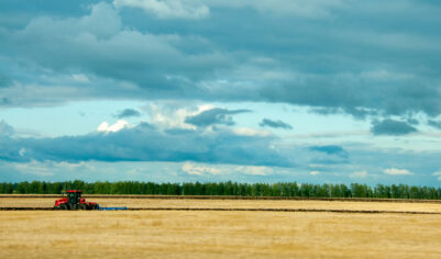 Новая геополитическая реальность: почему XXI век может стать «русским веком»