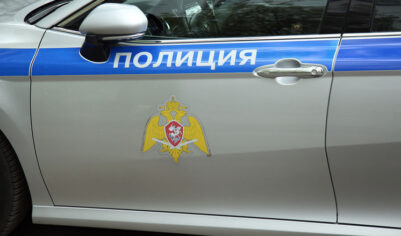 В подмосковном Домодедово предотвращено нападение на школу