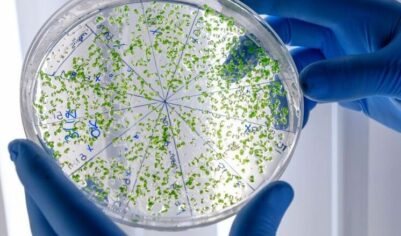 Ученые выяснили причину роста младенческой смертности