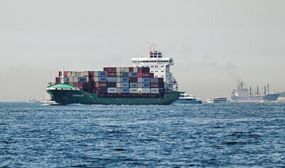 &laquo;Солидный объем&raquo;: Путин рассказал о&nbsp;товарообороте РФ&nbsp;со&nbsp;странами СНГ