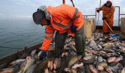 Путин рассказал о сложной и опасной истории