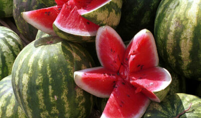 Отец четверых детей умер во время конкурса от арбуза: хотел выиграть чипсы