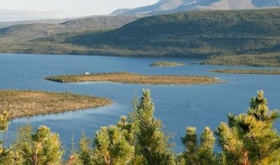 Российский бизнес обсуждает изменения в зеленой повестке