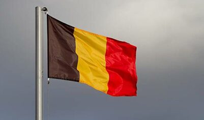 В Бельгии раскрыли риски использования активов России