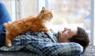 ​Зачем кот топчется по спящему владельцу