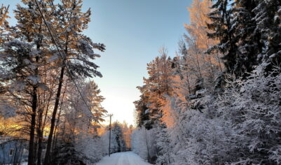 Россиянам рассказали, что 3 декабря на Прокла нельзя рассказывать о своих планах