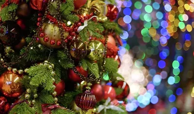 Названы самые популярные схемы мошенников перед новогодними праздниками