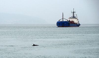 ЕС&nbsp;включил в&nbsp;антироссийские санкции еще 41&nbsp;нефтяной танкер