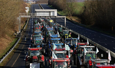 Филиппо: выход Франции из ЕС спасет сельское хозяйство страны