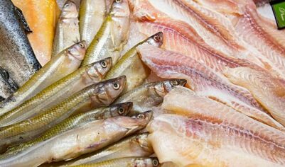 Китай увеличил экспорт рыбы в&nbsp;Россию до&nbsp;рекордного уровня