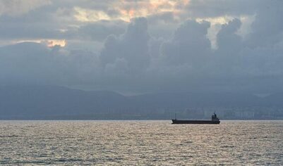 «Росконгресс» назвал вероятных «черных лебедей» для мировой экономики в 2026 году