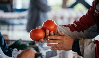 В России подешевели некоторые овощи