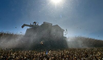 Серьезный удар: как соглашение с Меркосур отразится на ЕС