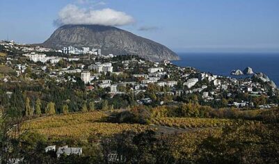 Продажа имущества украинских олигархов пополнила бюджет Крыма на миллиарды рублей