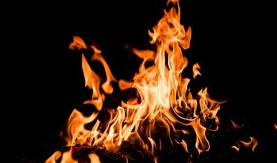 Новогодняя елка загорелась в квартире в Москве