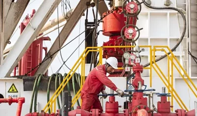 &laquo;Заморозка&raquo; ради стабильности: ОПЕК+ ответил на&nbsp;нефтяные маневры Трампа